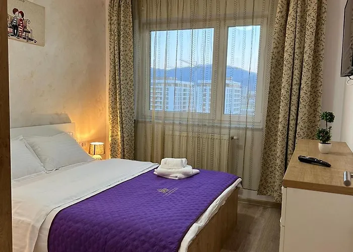 Inchis Near Coresi Mall * 布拉索夫