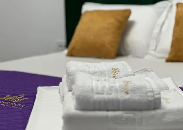 公寓 Inchis Near Coresi Mall *